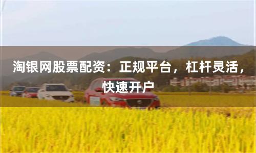 淘银网股票配资：正规平台，杠杆灵活，快速开户